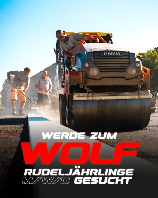 ein mann fährt auf einer walz und planiert eine Straße, darüber blauer Himmel und Sonnenschein. Im Hintergrund arbeiten weitere Bauarbeiter. "Werde zum Wolf - Rudeljährlinge m/w/d gesucht" steht als Unterschrift da.